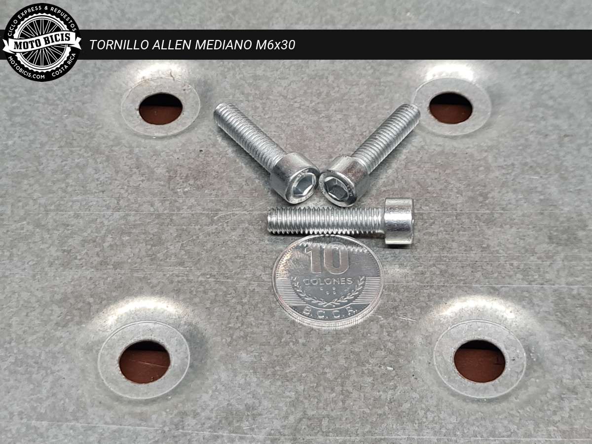 TORNILLO ALLEN MEDIANO M6x30