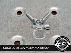 TORNILLO ALLEN MEDIANO M6x30 DE BICIMOTO